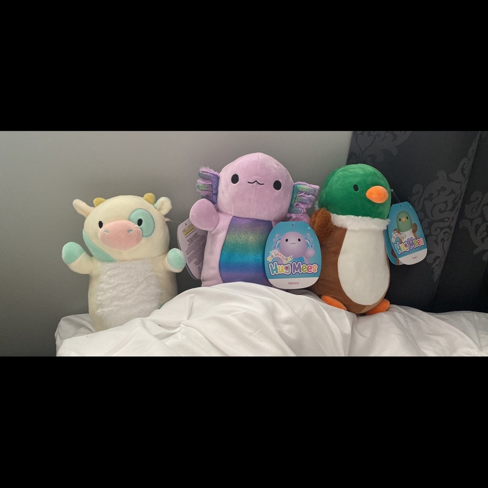 Squishmallow Hugmees